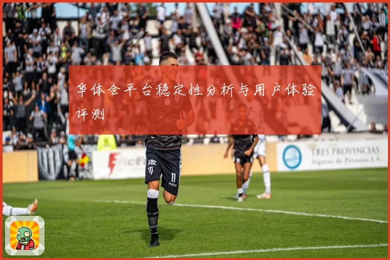 华体会平台稳定性分析与用户体验评测