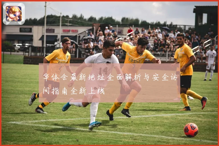 华体会最新地址全面解析与安全访问指南全新上线